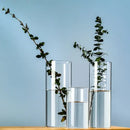 DecorBites™ Elegant Glass Cylinder Vase for Flowers