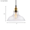 DecorBites™ Farmhouse Clear Glass Brass Pendant Light - Barn Dining Room Hanging Fixture