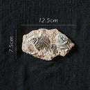 Decorbites fossil series art refrigerator stickers kitchen decor