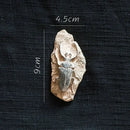 Decorbites fossil series art refrigerator stickers kitchen decor