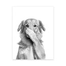 DecorBites™ Fun Animal Bathroom Wall Art Canvas