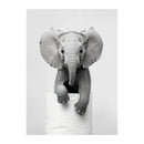 DecorBites™ Funny Animals Canvas Wall Art for Bathroom Home