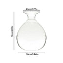 DecorBites™ Glass Avocado Seed Starter Vase Kit