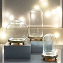 DecorBites™ Glass Bell Jar Terrarium with LED Light