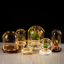 DecorBites™ Glass Bell Jar Terrarium with LED Light