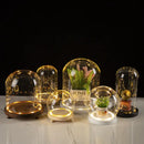 DecorBites™ Glass Bell Jar Terrarium with LED Light