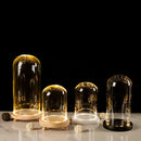 DecorBites™ Glass Bell Jar Terrarium with LED Light
