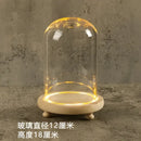 DecorBites™ Glass Bell Jar Terrarium with LED Light