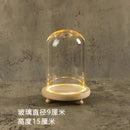 DecorBites™ Glass Bell Jar Terrarium with LED Light
