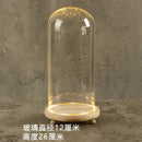 DecorBites™ Glass Bell Jar Terrarium with LED Light