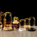 DecorBites™ Glass Bell Jar Terrarium with LED Light