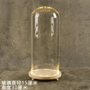 DecorBites™ Glass Bell Jar Terrarium with LED Light