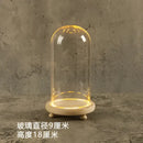 DecorBites™ Glass Bell Jar Terrarium with LED Light