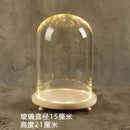 DecorBites™ Glass Bell Jar Terrarium with LED Light