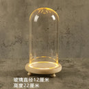 DecorBites™ Glass Bell Jar Terrarium with LED Light