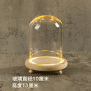 DecorBites™ Glass Bell Jar Terrarium with LED Light