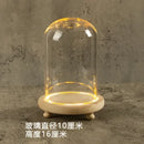 DecorBites™ Glass Bell Jar Terrarium with LED Light