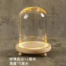 DecorBites™ Glass Bell Jar Terrarium with LED Light