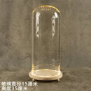 DecorBites™ Glass Bell Jar Terrarium with LED Light