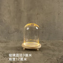 DecorBites™ Glass Bell Jar Terrarium with LED Light