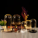 DecorBites™ Glass Bell Jar Terrarium with LED Light