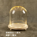 DecorBites™ Glass Bell Jar Terrarium with LED Light