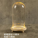 DecorBites™ Glass Bell Jar Terrarium with LED Light