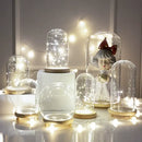 DecorBites™ Glass Bell Jar Terrarium with LED Light