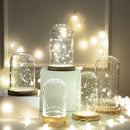 DecorBites™ Glass Bell Jar Terrarium with LED Light