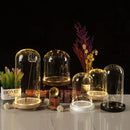 DecorBites™ Glass Bell Jar Terrarium with LED Light
