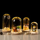 DecorBites™ Glass Bell Jar Terrarium with LED Light