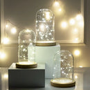 DecorBites™ Glass Bell Jar Terrarium with LED Light