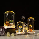 DecorBites™ Glass Bell Jar Terrarium with LED Light