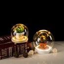 DecorBites™ Glass Bell Jar Terrarium with LED Light