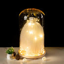 DecorBites™ Glass Bell Jar Terrarium with LED Light