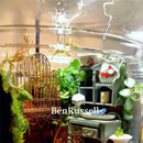 DecorBites™ Glass Bottle Terrarium Kit