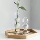 DecorBites™ Glass Bubble Hydroponic Vase for Wedding and Home
