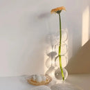 DecorBites™ Glass Bubble Hydroponic Vase for Wedding and Home
