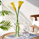 DecorBites™ Glass Bubble Hydroponic Vase for Wedding and Home