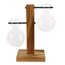 DecorBites™ Glass Bulb Vase with Wooden Stand