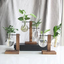 DecorBites™ Glass Bulb Vase with Wooden Stand