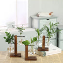 DecorBites™ Glass Bulb Vase with Wooden Stand