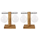 DecorBites™ Glass Bulb Vase with Wooden Stand