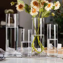 DecorBites™ Glass Hydroponic Desktop Planter Vase