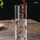 DecorBites™ Glass Hydroponic Desktop Planter Vase