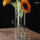 DecorBites™ Glass Hydroponic Desktop Planter Vase