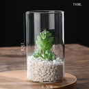 DecorBites™ Glass Hydroponic Desktop Planter Vase