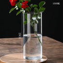 DecorBites™ Glass Hydroponic Desktop Planter Vase