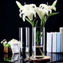DecorBites™ Glass Hydroponic Desktop Planter Vase