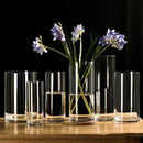 DecorBites™ Glass Hydroponic Desktop Planter Vase